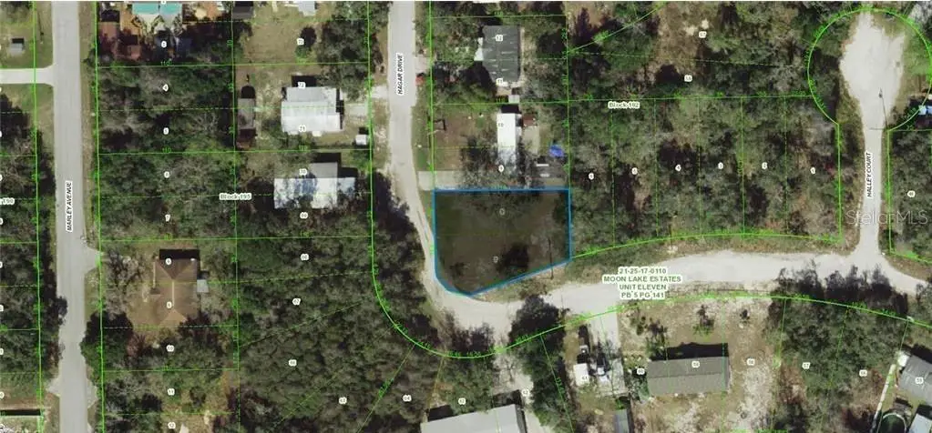 17-25-21-011.0-192.00-007 Hagar Drive, New Port Richey, FL 34654 - #1