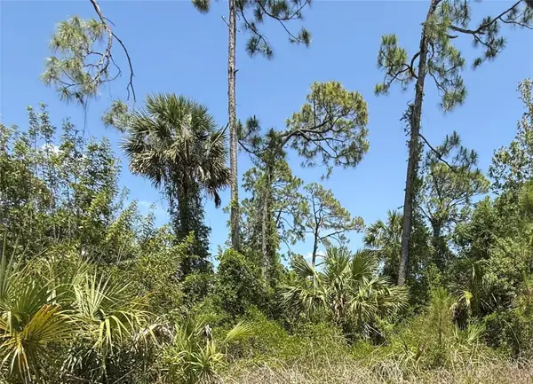 Lot 15 Coastal Street, NORTH PORT, FL 34288