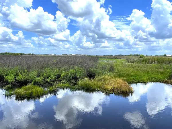 Wauchula Road, MYAKKA CITY, FL 34251