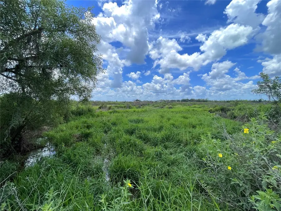 Wauchula Road, Myakka City, FL 34251 - #3