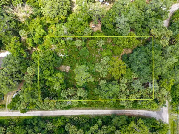 Swamp Lane, GENEVA, FL 32732