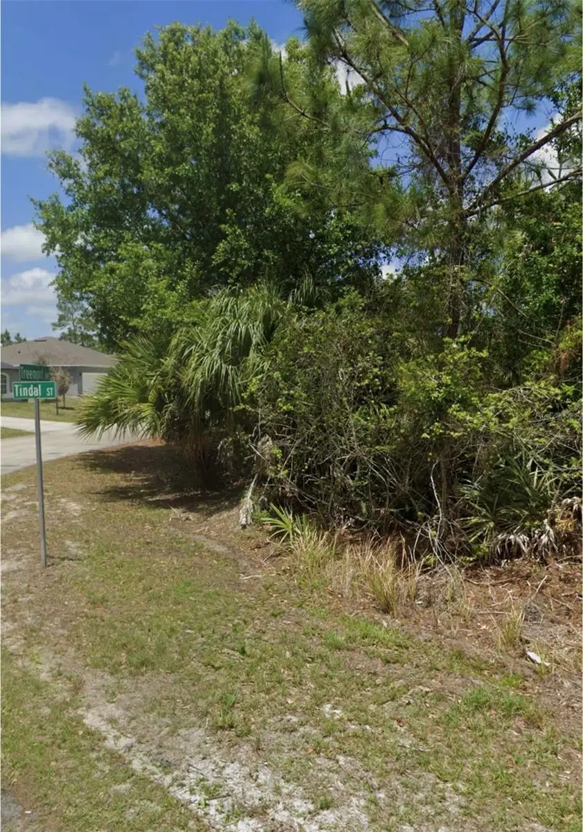 Tindal Street Sw, Palm Bay, FL 32908 - #1