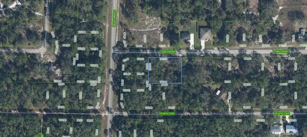 3154 Carlton Avenue, LAKE PLACID, FL 33852