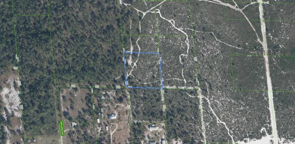 918 Midland Avenue, Lake Placid, FL 33852 - #1