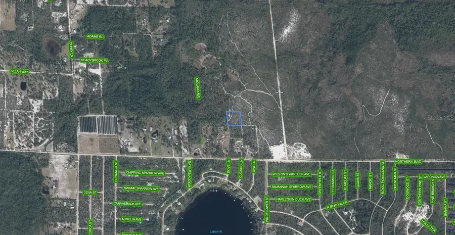 918 Midland Avenue, Lake Placid, FL 33852 - #2