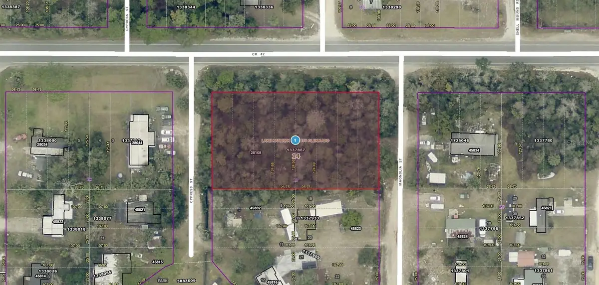28108 County Road 42, Paisley, FL 32767 - #1