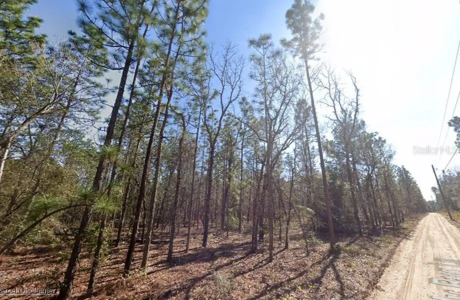 Hills Road, Melrose, FL 32666 - #1