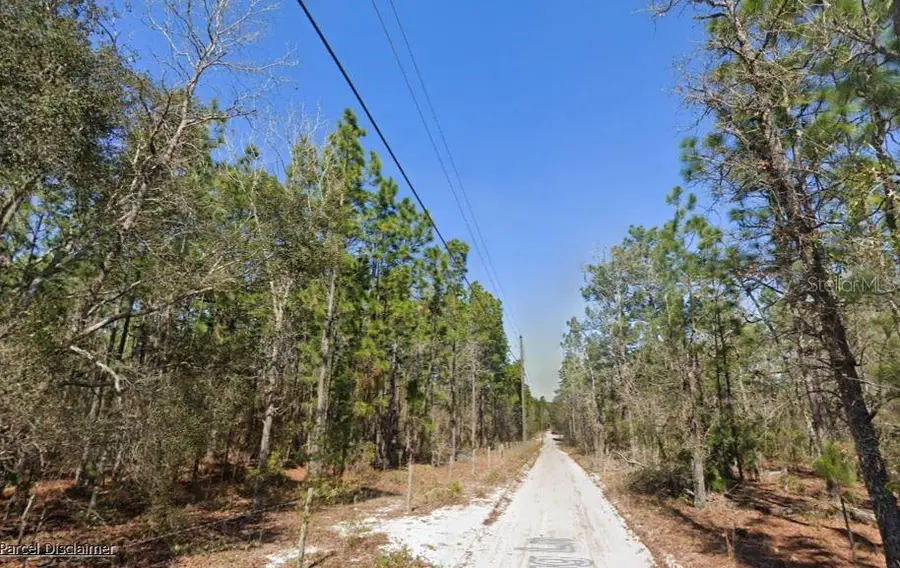 Hills Road, Melrose, FL 32666 - #3