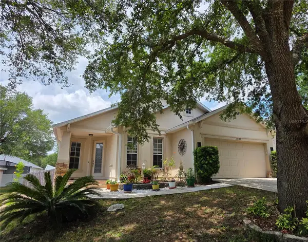 25147 Ironwedge Drive, SORRENTO, FL 32776