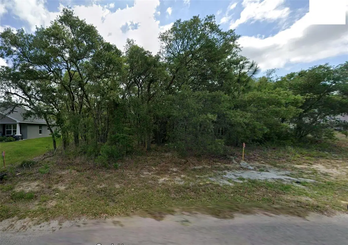 14 Nemesia Court E, Homosassa, FL 34446 - #1