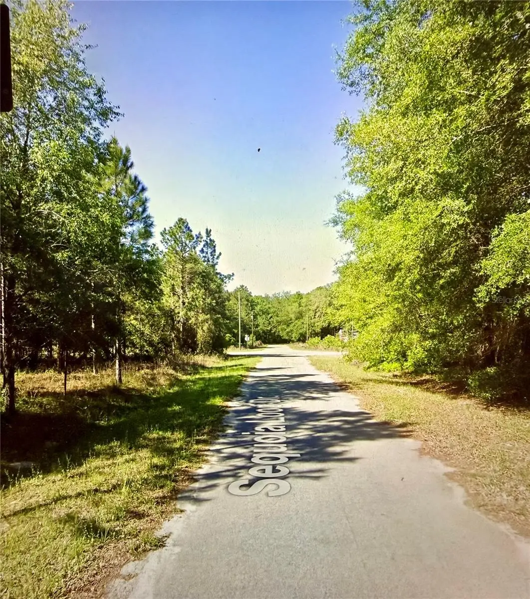 Lot 39 SE Sequoia Loop Drive, Ocklawaha, FL 32179 - #1