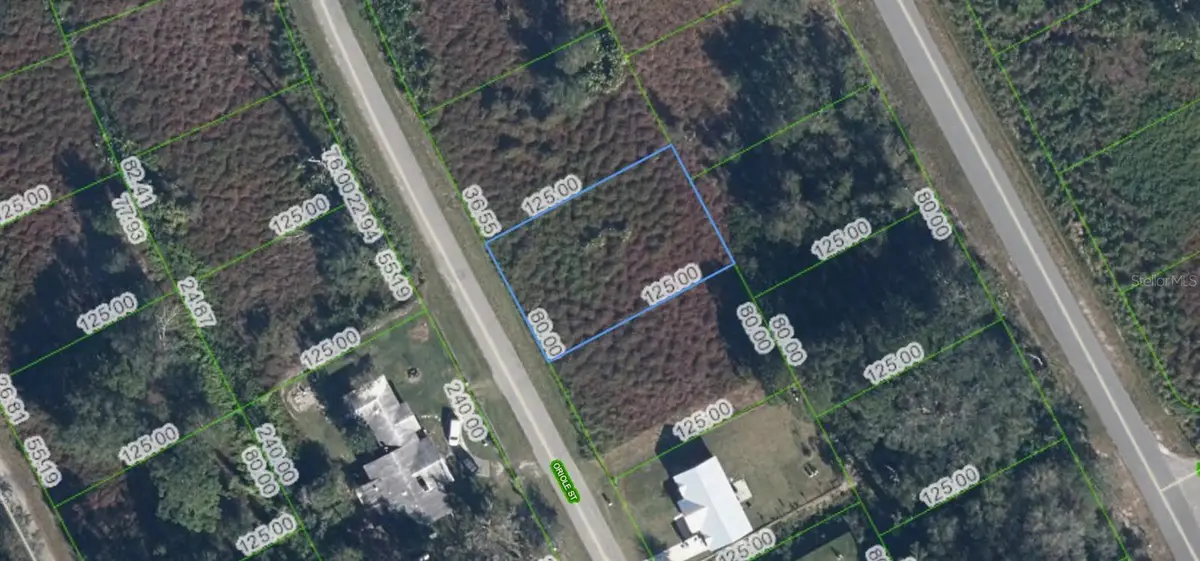 1025 Oriole Street, Lake Placid, FL 33852 - #1