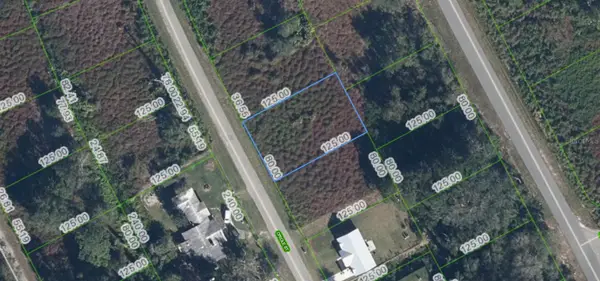 1025 Oriole Street, LAKE PLACID, FL 33852
