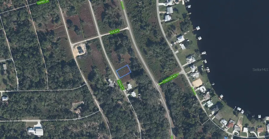 1025 Oriole Street, Lake Placid, FL 33852 - #2
