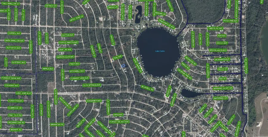 1025 Oriole Street, Lake Placid, FL 33852 - #3