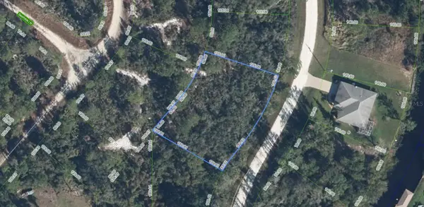1104 Greenfield Street, LAKE PLACID, FL 33852