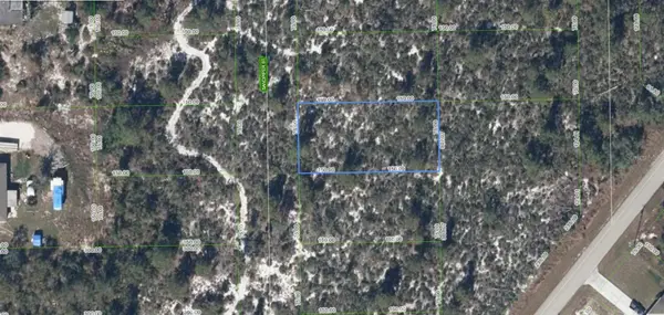 239 Sandpiper Street, LAKE PLACID, FL 33852