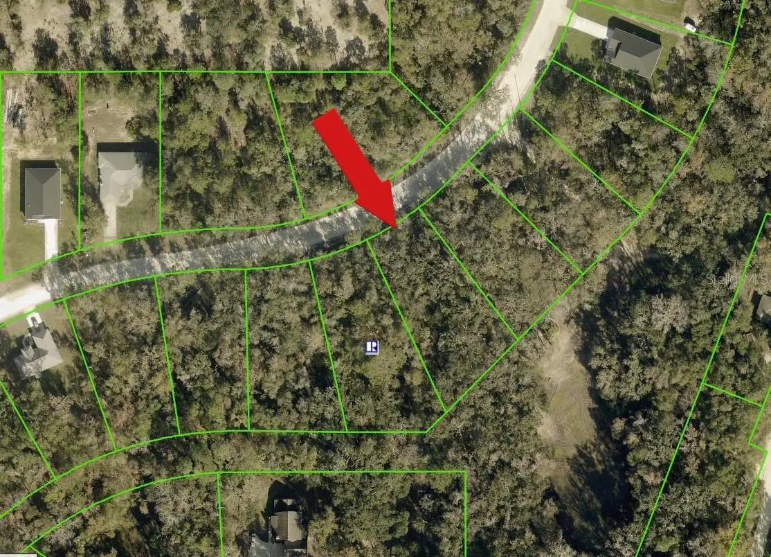 14398 Chimney Swift Road, Weeki Wachee, FL 34614 - #1