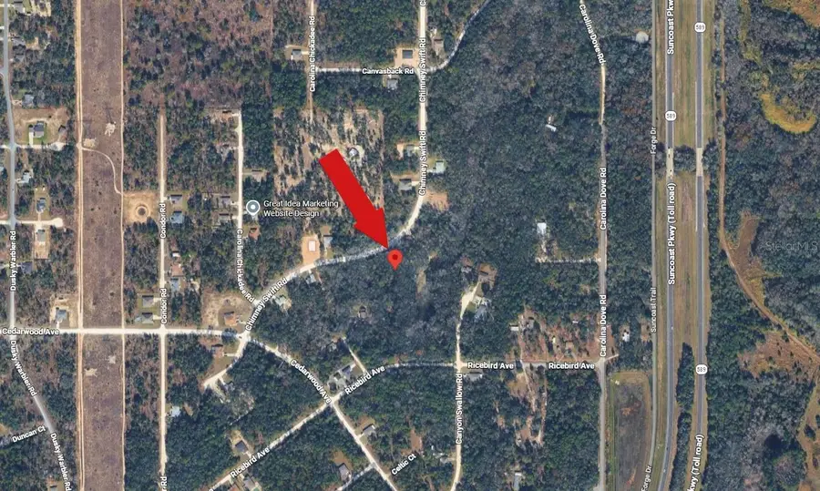 14398 Chimney Swift Road, Weeki Wachee, FL 34614 - #3