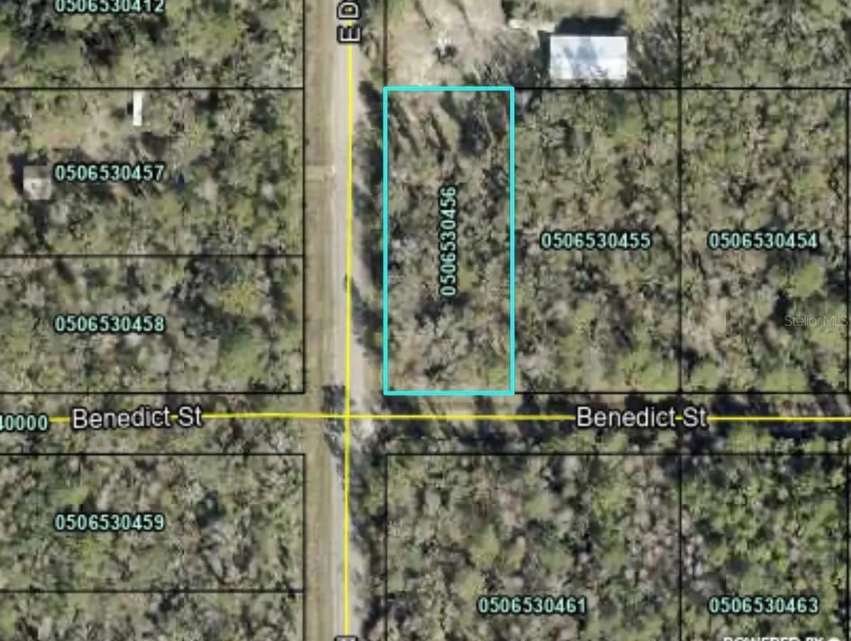 4790 Benedict Street, Hastings, FL 32145 - #1