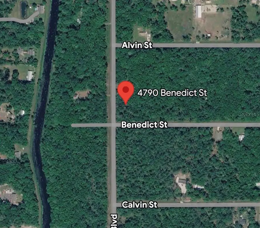 4790 Benedict Street, Hastings, FL 32145 - #2