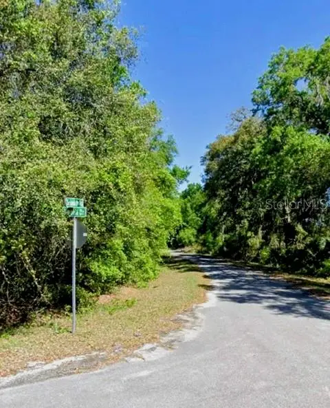Sequoia Drive #Lot 5, OCKLAWAHA, FL 32179