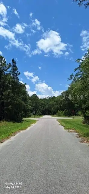 Lot 15 Ficher Lane, Ocklawaha, FL 32179 - #2