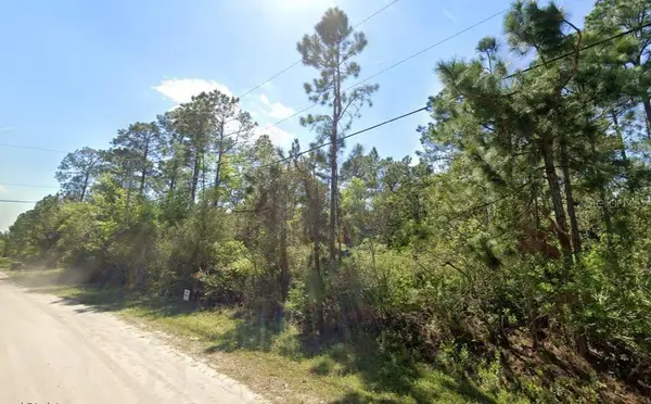 2834 Orange Blossom Street, BUNNELL, FL 32110