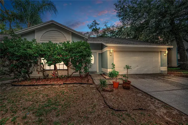 4113 Quail Briar Drive, VALRICO, FL 33596