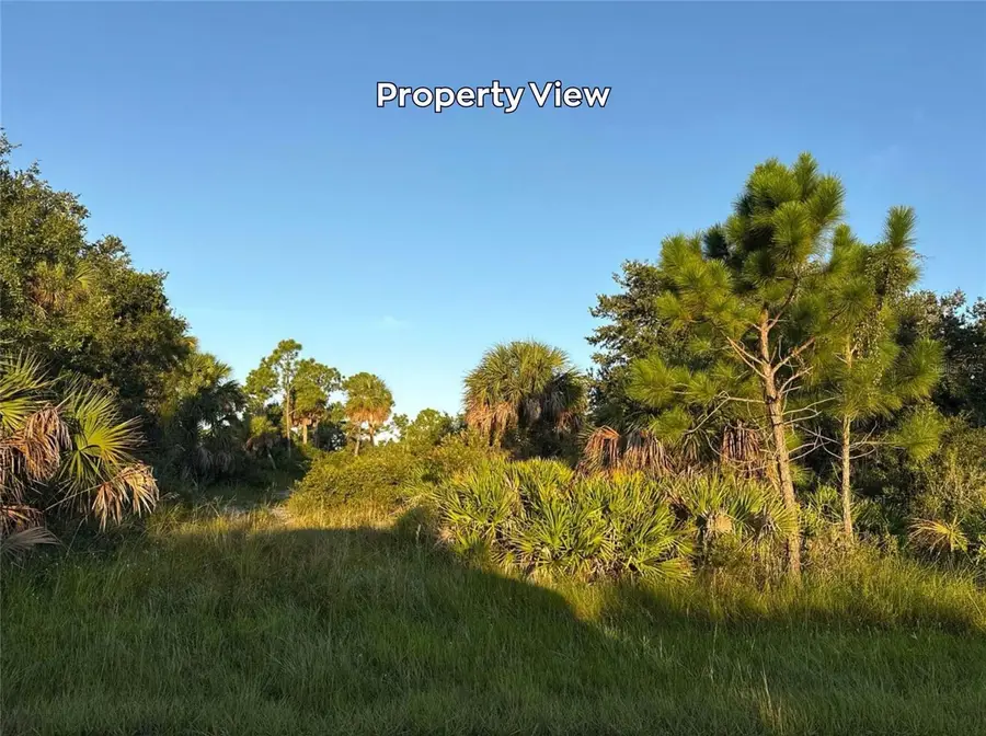 4387 Schneider Street, Port Charlotte, FL 33981 - #3