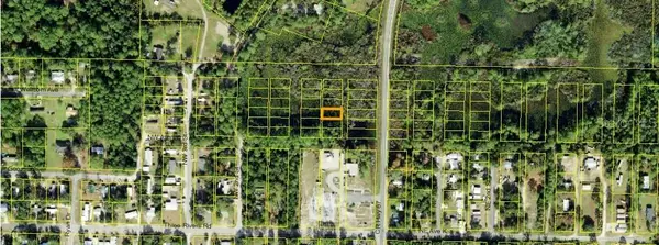 1305 Copesetic Street, CARRABELLE, FL 32322