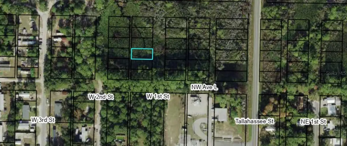 1305 W 1st Street, Carrabelle, FL 32322 - #1