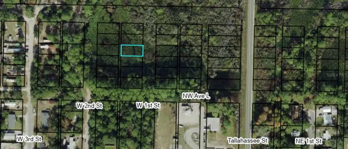 1307 W 1st Street, Carrabelle, FL 32322 - #1