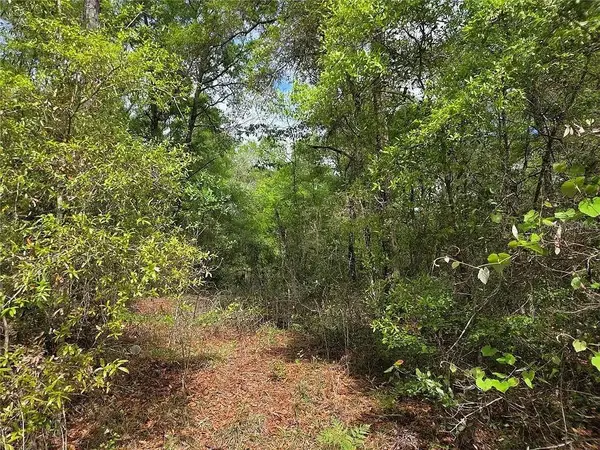 Lots 4 & 5 NW 56th Street, CHIEFLAND, FL 32626