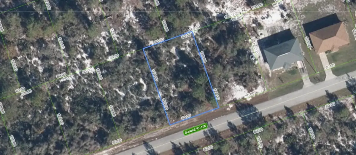 117 Bonnie Road Nw, Lake Placid, FL 33852 - #1