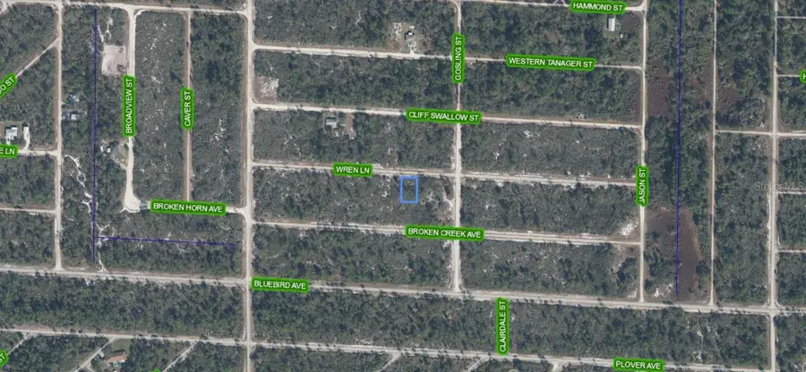 3442 Wren Lane, Lake Placid, FL 33852 - #2