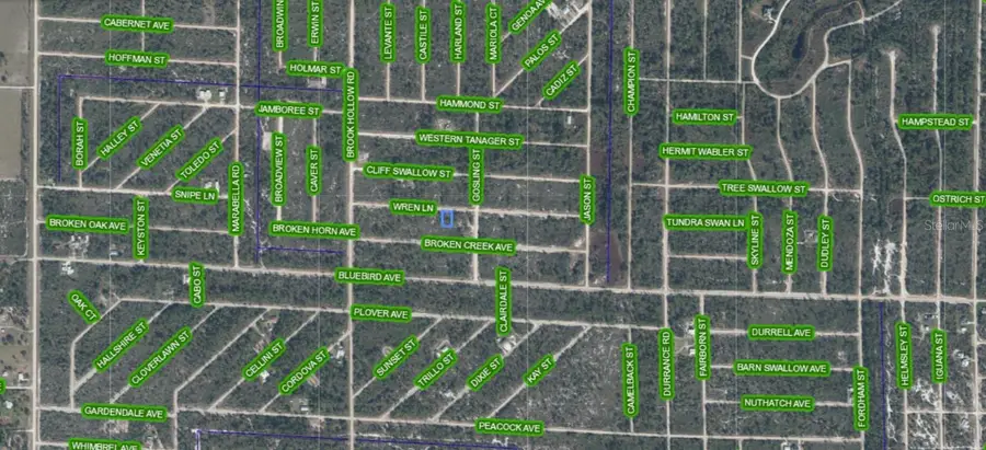 3442 Wren Lane, Lake Placid, FL 33852 - #3