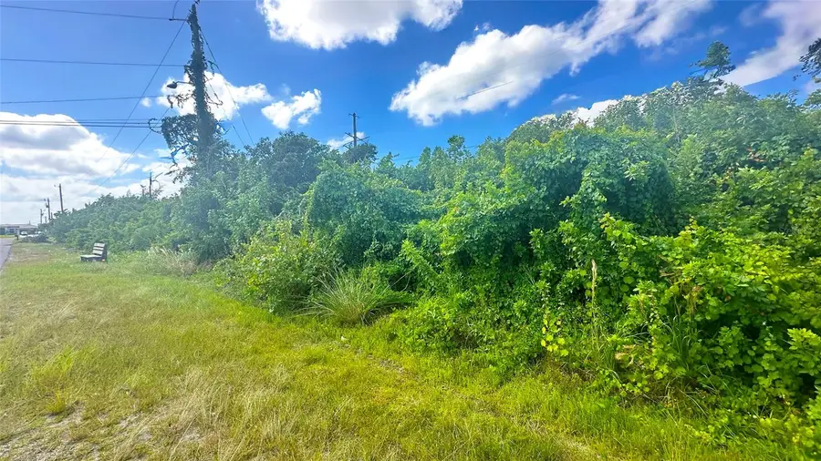 10 SW 24th Avenue, Cape Coral, FL 33991 - #2