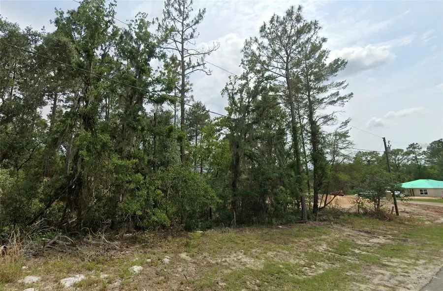 6820 SW 153rd Place Road, Ocala, FL 34473 - #2