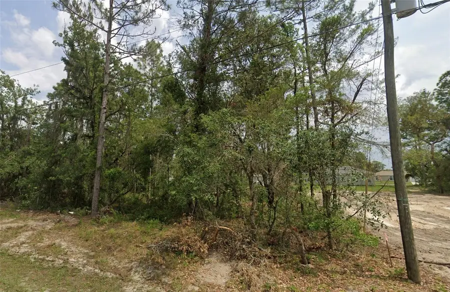 6820 SW 153rd Place Road, Ocala, FL 34473 - #3