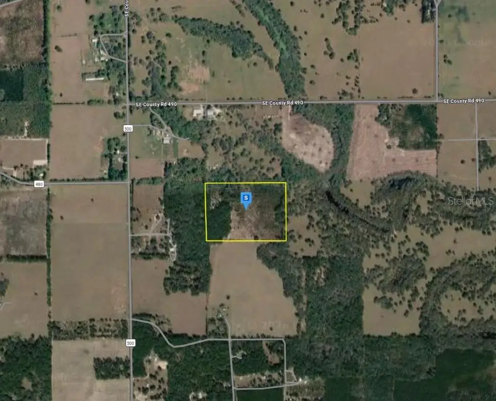301 SE Cheetah Lane, Branford, FL 32008 - #1