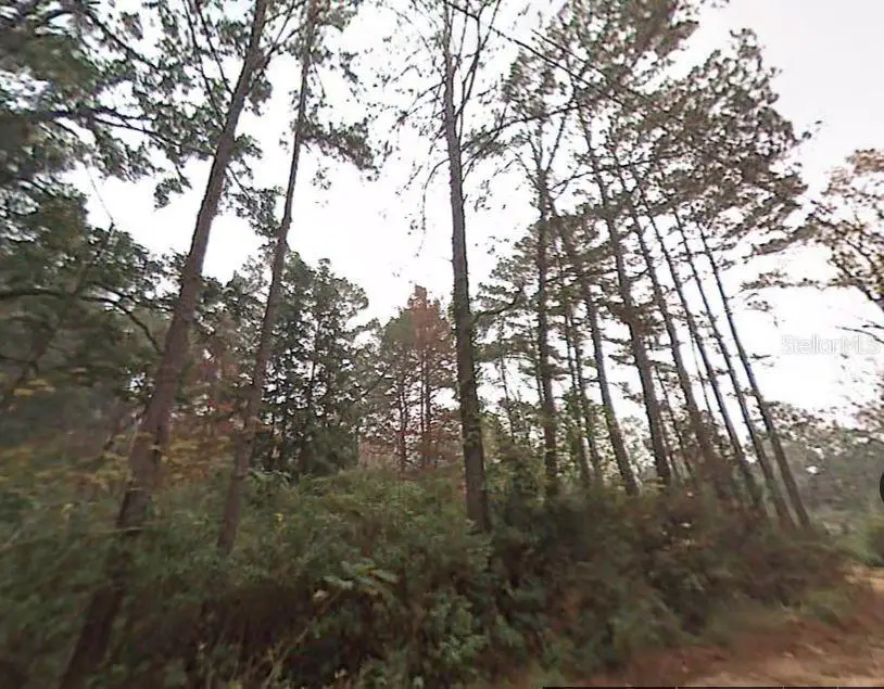 Pichard Drive, Tallahassee, FL 32311 - #2