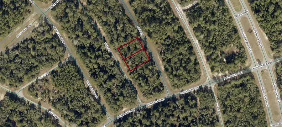 8002-0009-06 & 07 Alley Road, Ocala, FL 34473 - #2