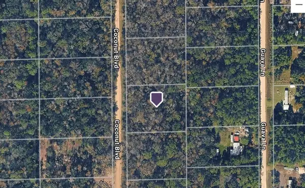 1743 Coconut Boulevard, BUNNELL, FL 32110