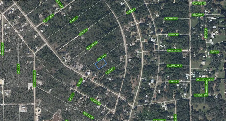 1211 Clinton Street, Lake Placid, FL 33852 - #2
