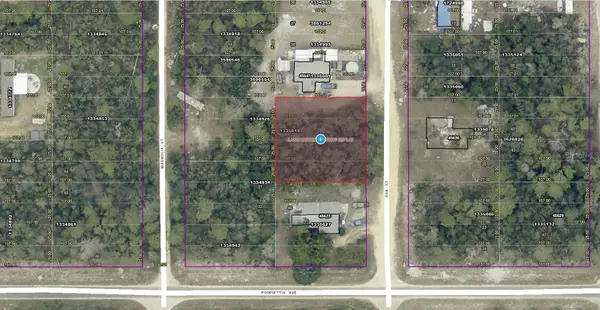 14-17-28-0200-004-04100 Oak Street, PAISLEY, FL 32767