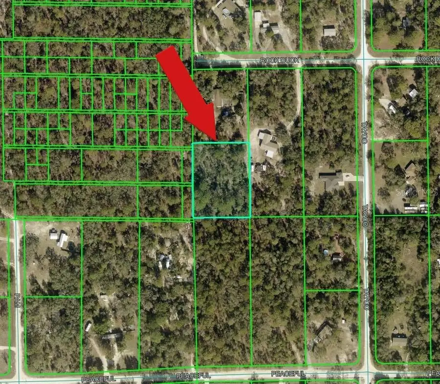 Peaceful Avenue, Weeki Wachee, FL 34614 - #2