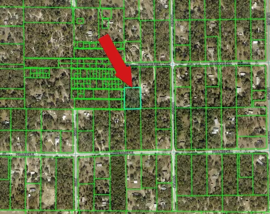 Peaceful Avenue, Weeki Wachee, FL 34614 - #3