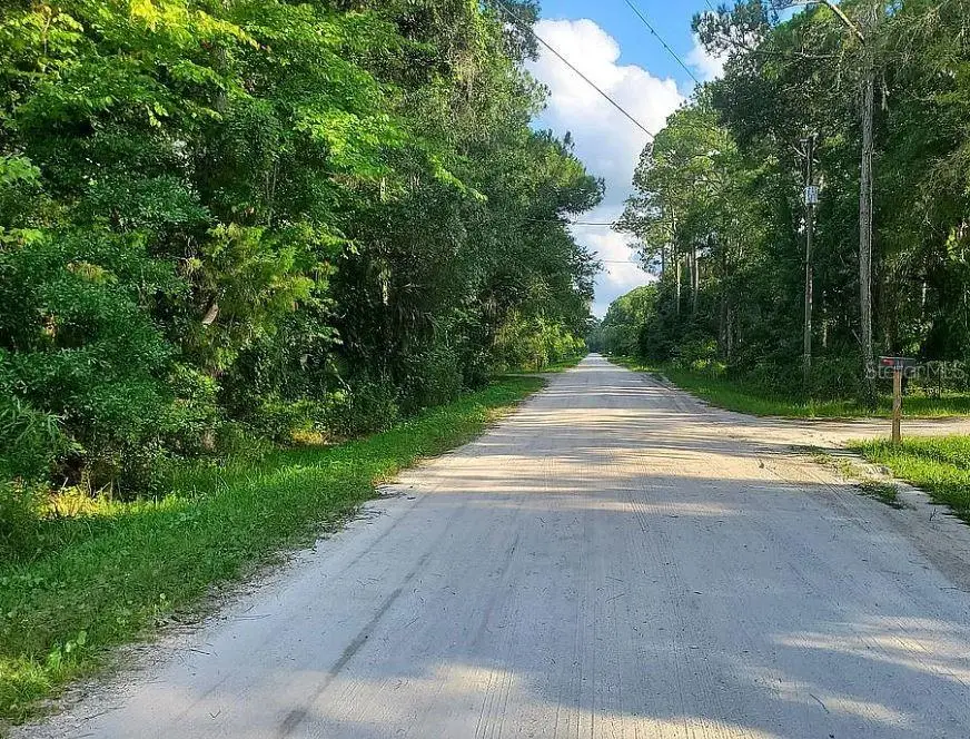 1763 Sherwood Street, Bunnell, FL 32110 - #1