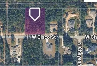 5593 W Cisco Street, BEVERLY HILLS, FL 34465